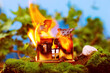 A toy wooden house is burning in nature. Fire concept. Fire safety