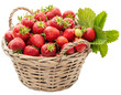 PNG. Ripe strawberries in a basket on a white background	
