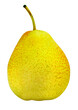 © Kornienko Alexandr - Ripe pear with stem