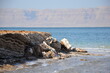 Formation of salty rocks in the Dead Sea, Jordan with the Dead Sea muds on a bright sunny day.