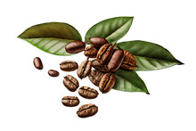 Granos de café con hojas de la planta del café sin fondo, generative ai.