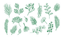 Plant, Leaf And Branch Hand Drawn Icon, Floral Vector Set Isolated On White Background. Doodle Vintage Nature Vector Illustration