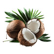 Coconut tropical leaves, illustration, coconut, png, transparent background, generative ai