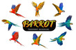 Parrots flying isolated on transparent background png file