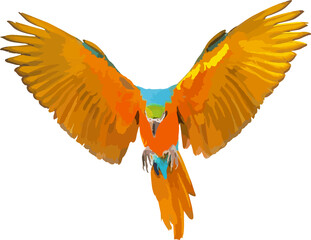 Colorful Blue and gold macaw parrot isolated on transparent background. Vector illustration png file