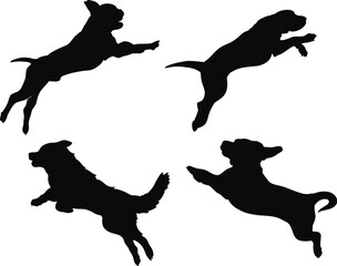 Wall Mural - Dog breeds isolated vector Silhouettes 