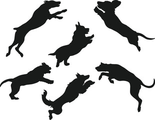 Wall Mural - Dog breeds isolated vector Silhouettes 