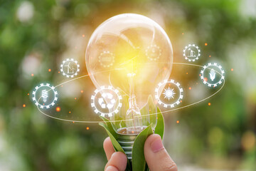 Wall Mural - environmental protection, renewable, sustainable energy sources. plant growing in the bulb concept