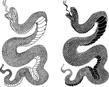 Snake Cobra Tattoo Style.Cobra Vector.A King Cobra Snake With Mouth Open.Snake Cobra Illustration.