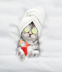 Fototapete - Cute kitten with towel on it head and with a pieces of cucumber on it eyes relaxing on the bed with watermelon cocktail. Top down view