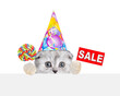 Cute kitten wearing party cap holds lollipop and shows signboard with labeled 