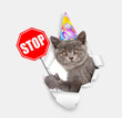 Cat wearing party cap looking through the hole in white paper and showing stop sign