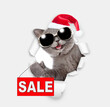Happy kitten wearing sunglasses and red santa hat looking through the hole in white paper and showing signboard with labeled 