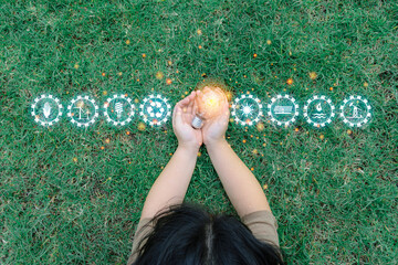 Wall Mural - hand holding light bulb in nature. sustainable energy sources concept with light bulb and plant