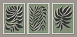 © C Design Studio - Set of minimalist botanical composition with leaves abstract collage