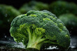 © RocknRoller Studios - Vegetable themed, healthy food concept. Premium Close up shot of Broccoli. Generative AI.