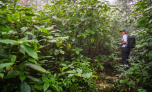 Woman Exploring The Rain Forrest In Central Sri Lanka