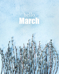 fluffy willow branches and text 