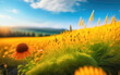Beautiful bright colorful summer spring natural rural pastoral landscape with meadow herbs and flowers against a blue sky with clouds on a clear sunny day. AI generated.