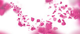 Fototapeta Motyle - Wedding background with garland of floating pink rose petals on transparent background. Concept for banner and love letters on the 14th of february and mother's day. PNG image.