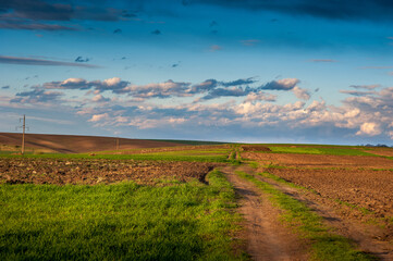 Wall Mural - plowed and green field, dirt road and hills, clouds at sky, the springtime