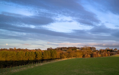 Wall Mural - sunset over woodland, the english countryside in winter with a distant house and full moon on the ho