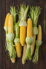 Wall Mural - Heap of fresh raw corn on the cob