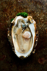  Open shucked fresh oysters. Macro photo. On a metal table background. Rustic style.