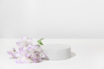 Wall Mural - cylindrical concrete stone podium on a white gray background with hard shadows and plant, flowers. m