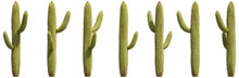 Set Of Cactus Plants, Succulents, 3D Rendering. For Digital Composition, Illustration, Graphics, Architecture Visualization