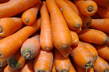 Wall Mural - Stack of carrots on a market stall