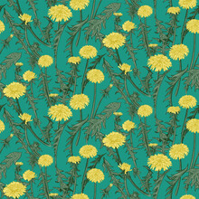 Dandelion Floral Seamless Pattern. Yellow Flowers On Teal Background. Vector Illustration.