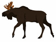 walking moose cartoon vector illustration isolated on white
