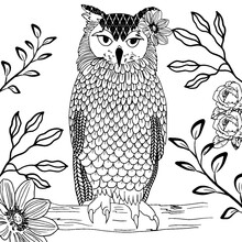 Coloring Book For Children And Adults. Owl With A Flower On A Tree Branch.
