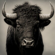 © Stacy - a bison portrait - generative ai