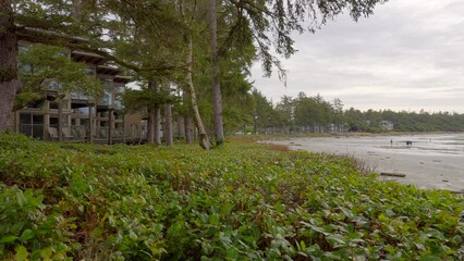 Wall Mural - Establishing shot. Neighbourhood of luxury houses with ocean front view, big trees and nice landscape in Vancouver, Canada. Blue sky. Day time on February 2023. ProRes 422 HQ.