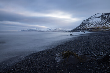 Wall Mural - Long exposure in Iceland on a black beach with a stone and seaweed in the foreground and the mountains in the background.