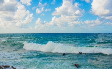 Wall Mural - beautiful sea with waves for background