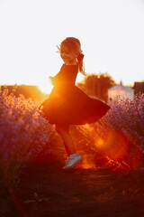 Wall Mural - cute girl with a bouquet of lavender flowers in her hands is walking in lavender field on sunset light. Kid in black dress is having fun on nature on summer holiday vacation.