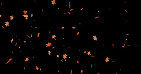 falling maple leaves backgrounds(transparent background/endless loop)