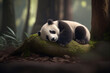 giant panda sleeping under the tree, image ai midjourney generated