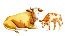 Illustration Of A Cow With A Calf, Watercolor Sketch Of A Cow And A Calf, Brown With White Spots, Farm Animal