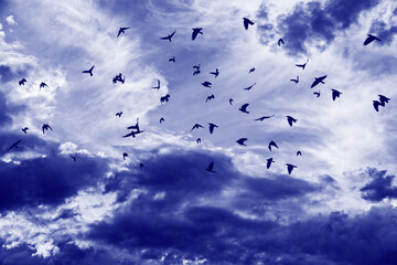 Canvas Print - dark clouds on a blue sky - close up texture