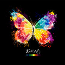Beautiful Colorful Butterfly On A Black Background. Vector Illustration