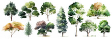Watercolor Trees Collection. Set Of Hand Drawn Trees. Forest Tree Pack. Generative Ai.