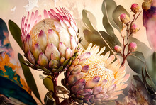 Beautiful Protea Flowers. Floral Digital Painting. Close Up.