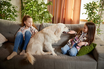 Beautiful purebreed dog, sand color American retriver lying on sofa with two kids, little girls in casual style clothes. Concept of happiness, family, care, animal and vet