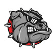 © irondah - Gonzaga Bulldog mascot head with black sunglasses on logo vector illustration