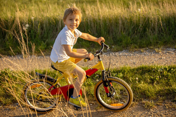 Poster - Cute child with pet dog, riding a bike in a rural field on sunset