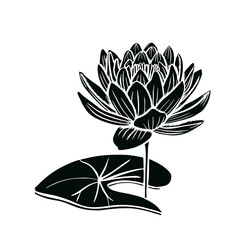 Poster - Beautiful lotus flowers black Silhouette. The black line drawn on a white background. Vector illustration